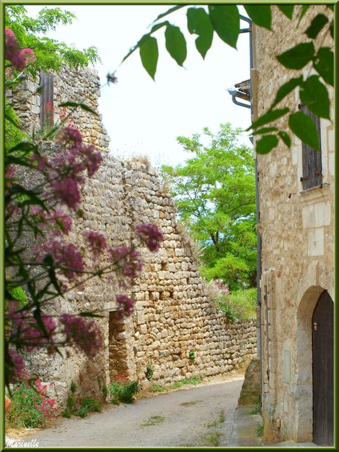 Ruelle et verdoyance dans le village d'Oppède-le-Vieux, Lubéron (84)