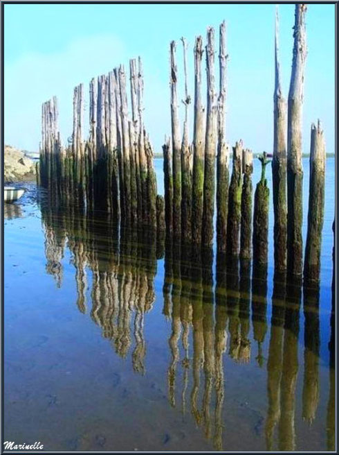 Piquets et reflets au port d'Arès (Bassin d'Arcachon)