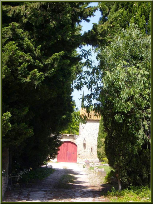 Vieux mas à Saint Etienne du Grès dans les Alpilles, Bouches du Rhône