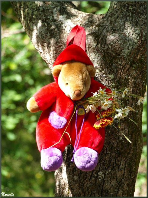 Nounours fleuri suspendu à un tronc à la Fête de la Nature 2013 au Parc de la Chêneraie à Gujan-Mestras (Bassin d'Arcachon) 