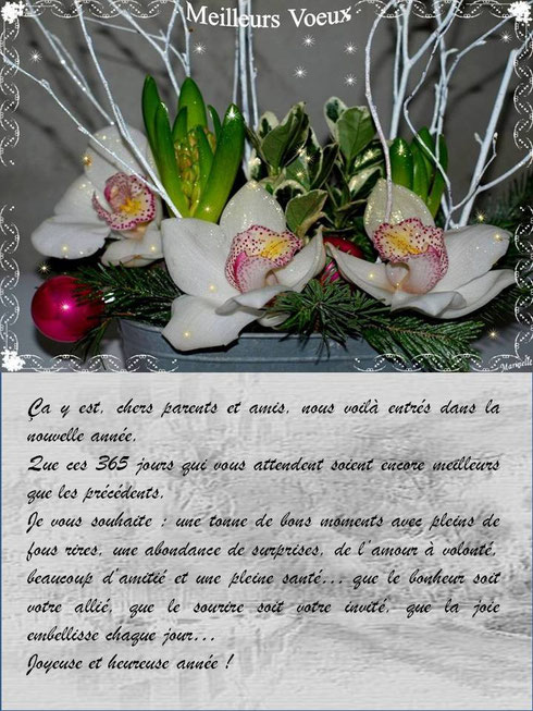 Meilleurs voeux : texte voeux avec orchidées et jacynthes