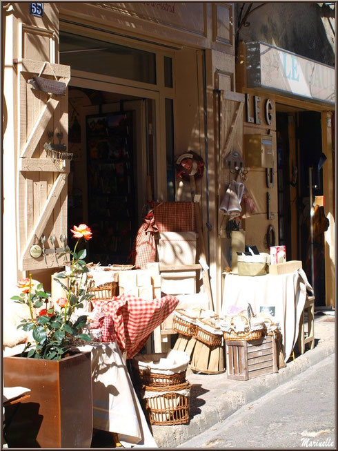 Façade commerçante dans une ruelle centre ville à Saint Rémy de Provence, Alpilles (13) 