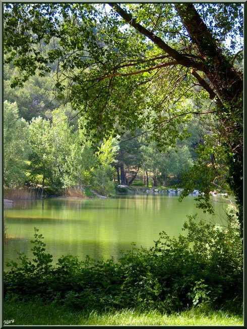 Verdoyance et reflets sur le lac de Peiroou à Saint Rémy de Provence, Alpilles (13)