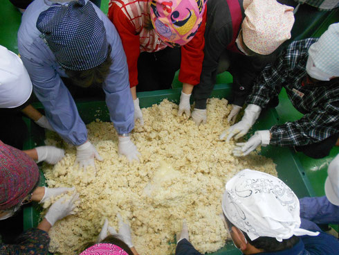 大豆が冷えたら、上にほぐしておいた麹と塩を乗せて、冷ました大豆の煮汁を加えて、耳たぶくらいの硬さに混ぜ合わせる。この時、水は一度に入れず硬さを見ながら少しずつ加える（柔らかすぎるとたまりが多く、硬すぎると麹の発酵が進まない）