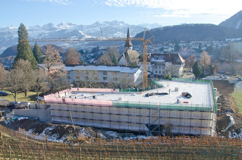 18. Dez. 2013 – Das Aufrichtetännchen steht (rechts hinten)!