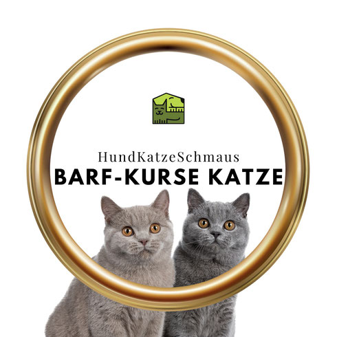 Futterrechner für Katzen