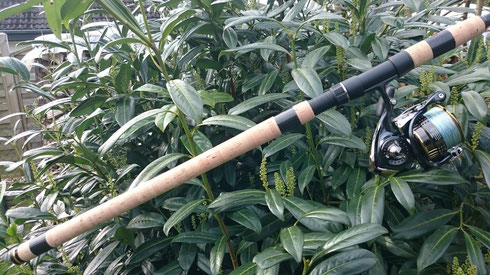 Fuji DPS 18 Softtouch Batson Rainshadow XST 1264F Batson Rainshadow XST 1264F Meerforellenrute  Northtackle  Rutenbau Rutenbauwerkstatt Rodbuilding Daiwa AGS Ringe