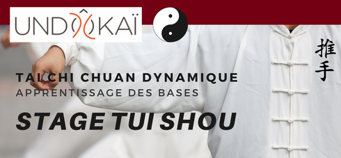 SANSHOU WUSHUGUAN LYON