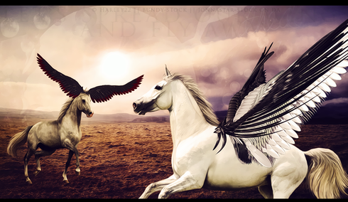 Photomanipulation "Let's spread our wings and fly away"