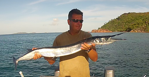 Seychelles fishing spin catch Garfish