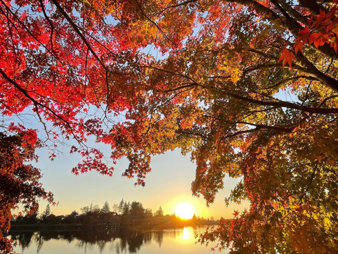 11月初旬の蓼科湖にて