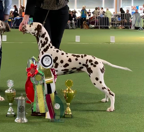 Schweizer Clubsiegerin 2019