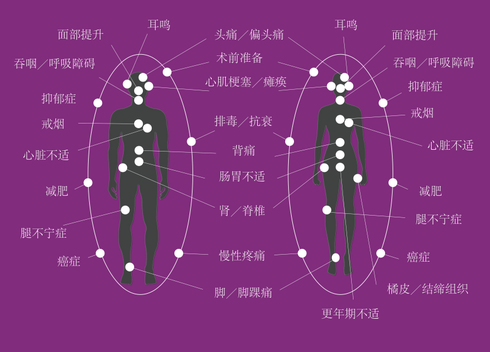 HF Bioenergetik 生命能量疗法 生物物理学 能量场 德国欧亚商旅 