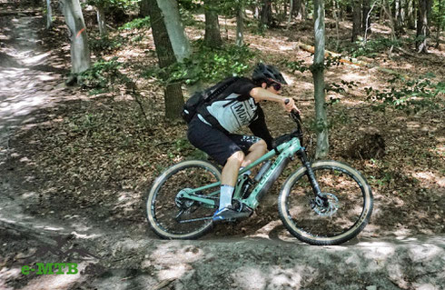 Mit dem e-MTB auf Trails im Wald unterwegs