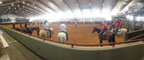 Horsemanship-Clinic