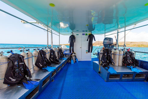 Danubio Azul Tauch-Kreuzfahrt Galapagos Inseln Hammerhaie
