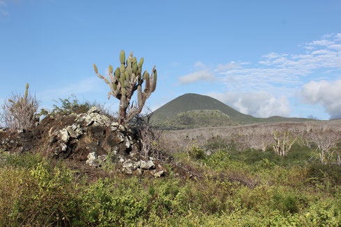 Die Galápagos Insel Floreana ist berühmt aufgrund der interessanten Siedlungsgeschichte