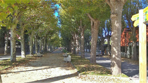 A peu per Puigcerdà - Passeig de la Sèquia