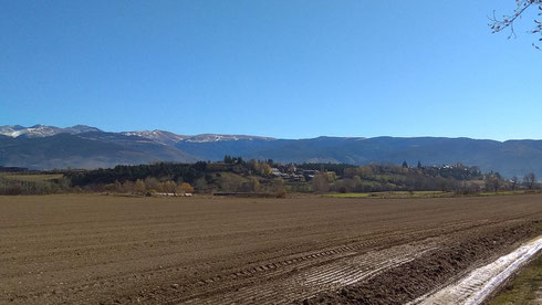 A peu per Puigcerdà - Llac del Torniquet