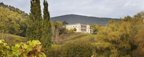 Rund um Schloss Villa Ludwigshöhe, im Moment wegen Umbauarbeiten leider geschlossen, steht der größte Kastanienwald Deutschlands.