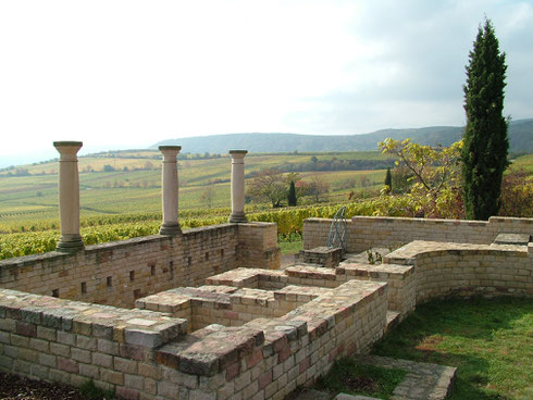 In imposanter Lage errichteten die Römer ein Weingut von stattlichen Ausmaßen. Der Blick schweift über die Reben des Weilberg weit bis in die Rheinebene und zum Pfälzerwald. Foto: Stadt Bad Dürkheim