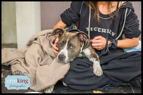 Photo courtesy of https://www.petsofthehomeless.org/