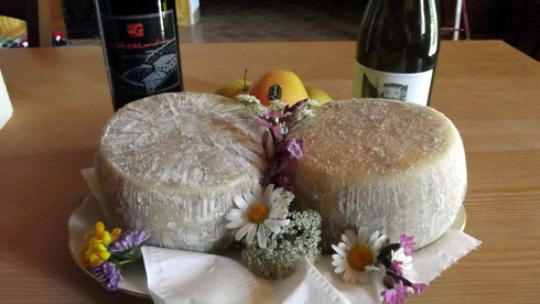 Typical mountain cheeses