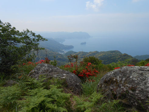 山頂から隣町の伊浜の湾を見下ろす