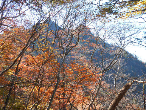 手前鞍部から眺める諏訪山本峰