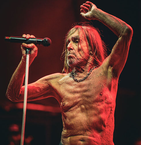 Authentisch und echt - Falte für Falte: Iggy Pop zeigte sich Ende Juni bei seinem "Tollwood"-Gig quicklebendig und räumte vor knapp 6000 Besuchern ordentlich ab. Foto: Alexander Scharf  