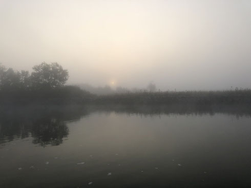 Hecht, Egli, Barsch, Zander, Pike, Esox, Murtensee, Angeln, Fischen, Fischerboot, Seeland, Esox, Perche