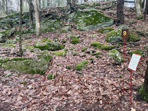 This outcrop consists of a rock cliff with a talus slope (or pile) below. The talus formed through the combined effects of erosion, weathering, and gravity acting on the cliff’s rocks.