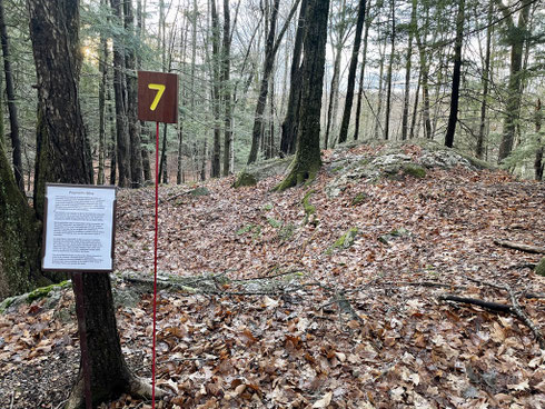 This is a small outcrop of pegmatite—a coarse, crystal-rich plutonic igneous rock—historically mined in this area for mineral and gem crystals such as feldspar, mica, quartz, tourmaline, and beryl.