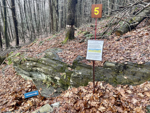 This outcrop features an excellent example of cross-bedding, a sedimentary structure that records the direction of ocean currents at the time the sediment was originally deposited.
