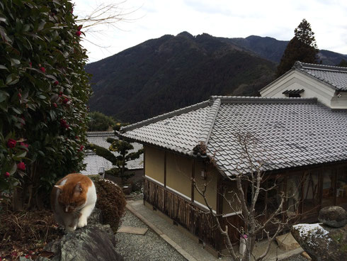 灯籠には白い雪が💦