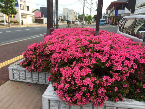 山口県　防府市　司法書士