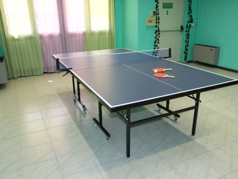 carpilandia PING PONG attrazioni