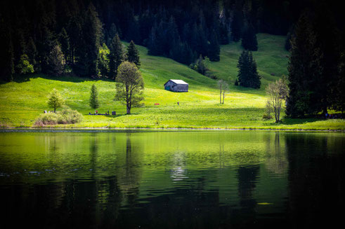 Toggenburg, Moorsee, Mai 2025