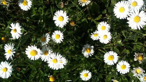 Ich-biete-Hilfe-mit-einer-Vielfalt-an-Methoden