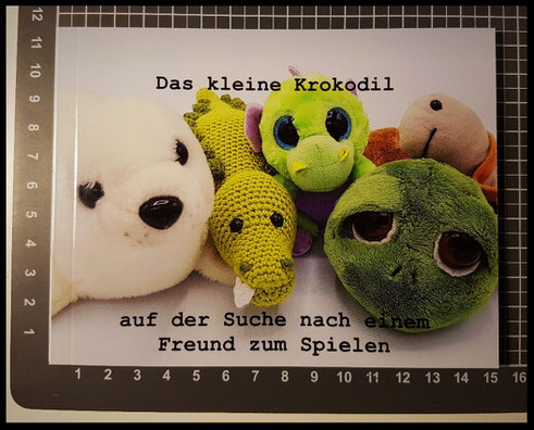 Buchgröße 15 x 11 cm