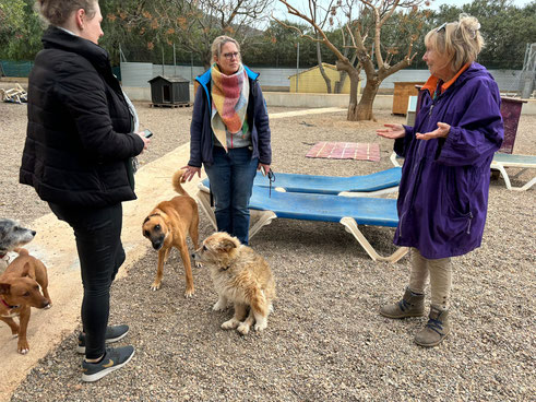 Cynthia und Meike aus unserer Hundevermittlung im Gespräch mit Chefin Susanne