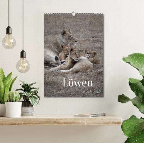 kalender-2021-orang-utans