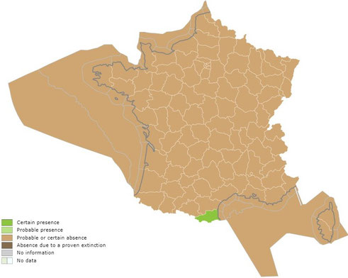 Quelle: INPN, Porcellio alticola, Vandel, 1915