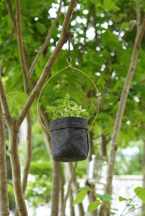 陶芸家 ブログ 陶芸作品 笠間焼き 植木鉢 八角連 ギボウシ 盆栽 鉢植え 不織布 無印良品 ハンギング