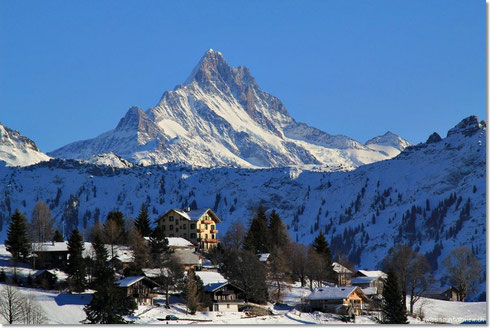 03.01.2011 - Beatenberg Waldegg - Foto Blick aufs Schreckhorn