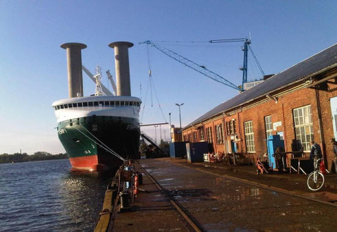 Abbildung 12: „E-Ship 1“ bei der Cassens Werft (Foto Dr. Wild)