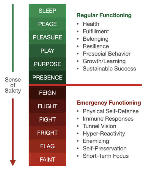 emotional hygiene, regular functioning, defensive states, cosocial states