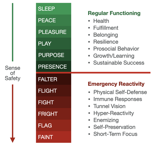 emotional hygiene, regular functioning, defensive states, cosocial states