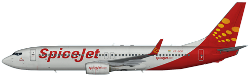 Aircraft Type: Boeing 737-800