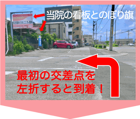 最初の交差点を左折すると到着！当院の看板とのぼり旗